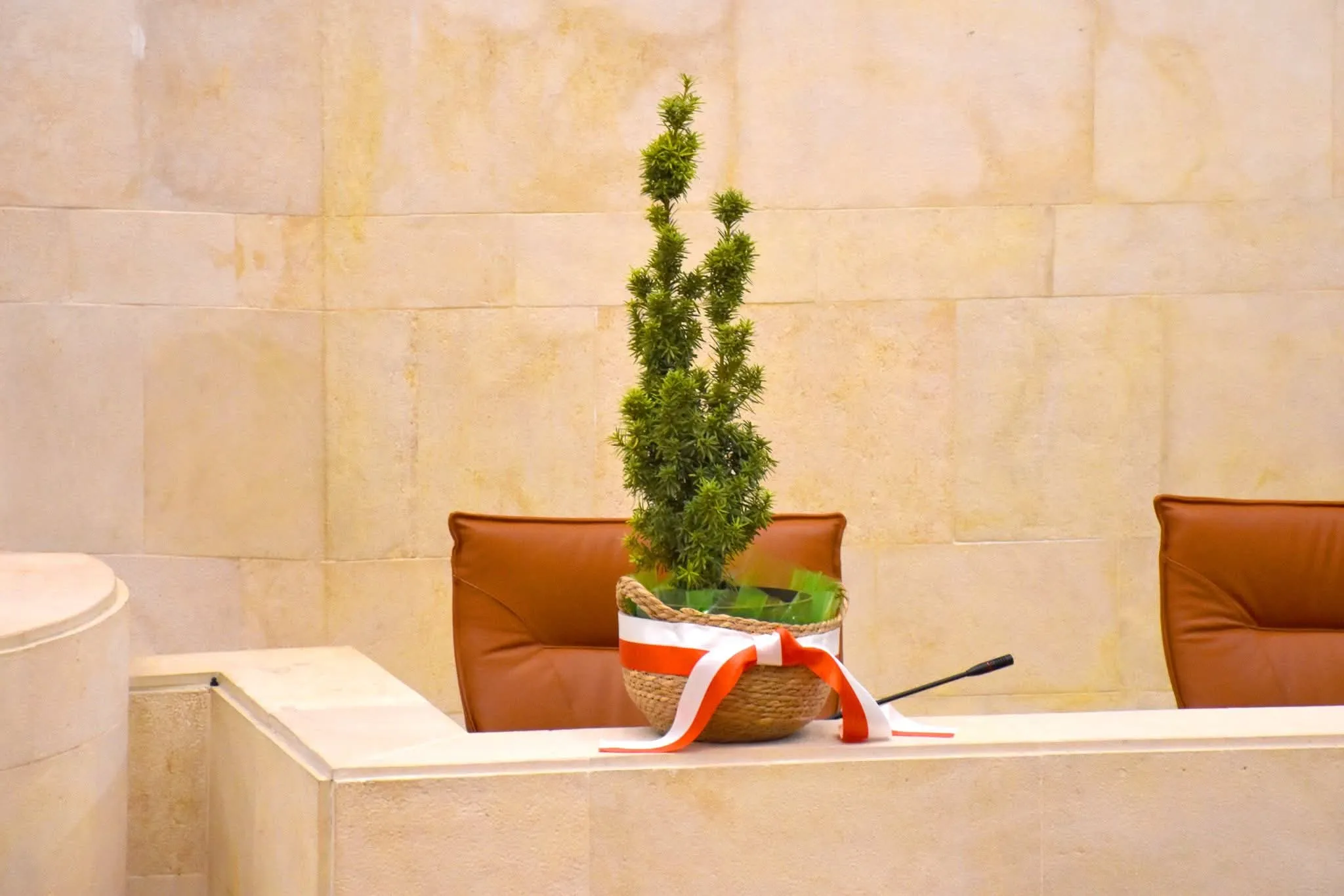 Texto leído por la Presidenta antes del pleno de hoy en memoria de JAVIER LÓPEZ MARCANO