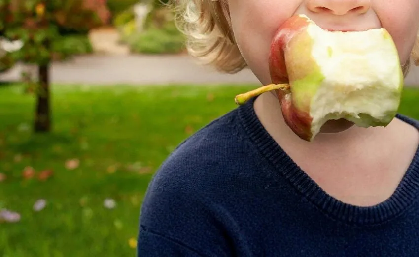  ASTILLERO ACERCA LA SALUD A LA CIUDADANÍA CON UNA MERIENDA SALUDABLE Y UNA DEMOSTRACIÓN DE AMBULANCIAS