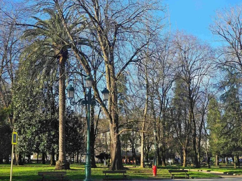 Noticias de Cantabria | El Cántabro | Torrelavega refuerza el mantenimiento del arbolado