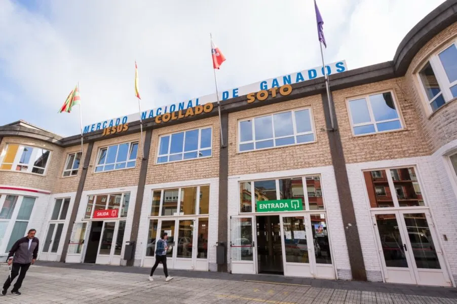 El Mercado Nacional de Ganados de Torrelavega mantendrá, por el momento, la restricción de entrada de animales de más de un año procedentes de fuera de la región. (Foto: Oficina de Comunicación)