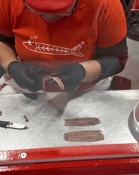 Noticias de Cantabria | El Cántabro | La tradición artesanal se abre paso digital: El arte de sobar anchoas en Santoña a mano llega a toda España