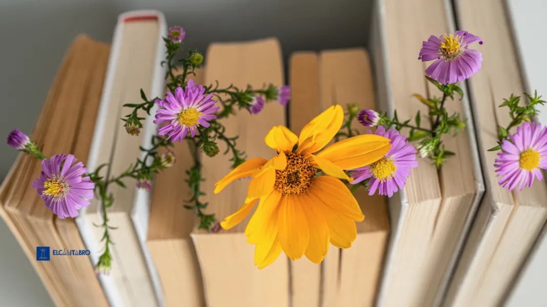 Noticias de Cantabria | El Cántabro | “El Quijote”: once horas de lectura ininterrumpida por el Día del Libro