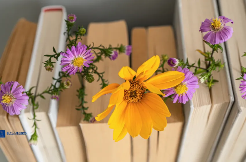  “El Quijote”: once horas de lectura ininterrumpida por el Día del Libro