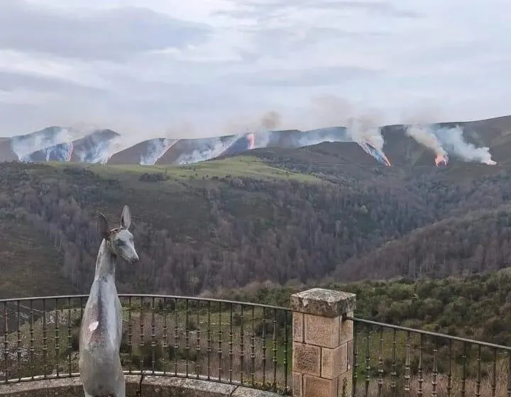 El Gobierno cántabro desactiva la preemergencia del INFOCANT y el nivel 2 del Operativo de Lucha Contra Incendios Forestales