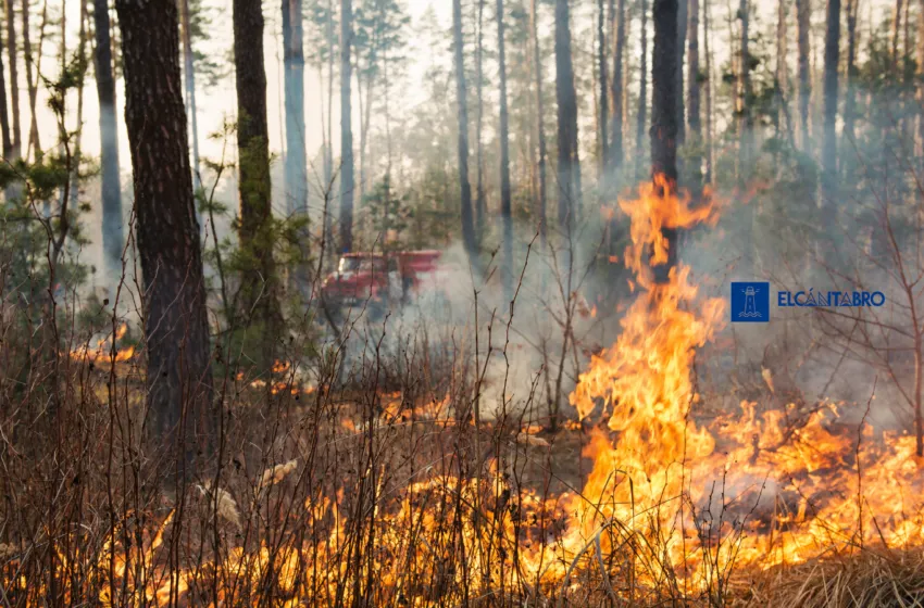 CSIF alerta: Cantabria y España afrontan el verano sin medios suficientes para prevenir incendios