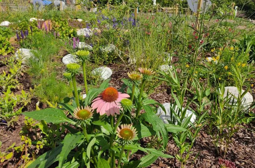 El parque de Mendicouague acoge el 11 de abril una nueva actividad de Santander Capital Natural