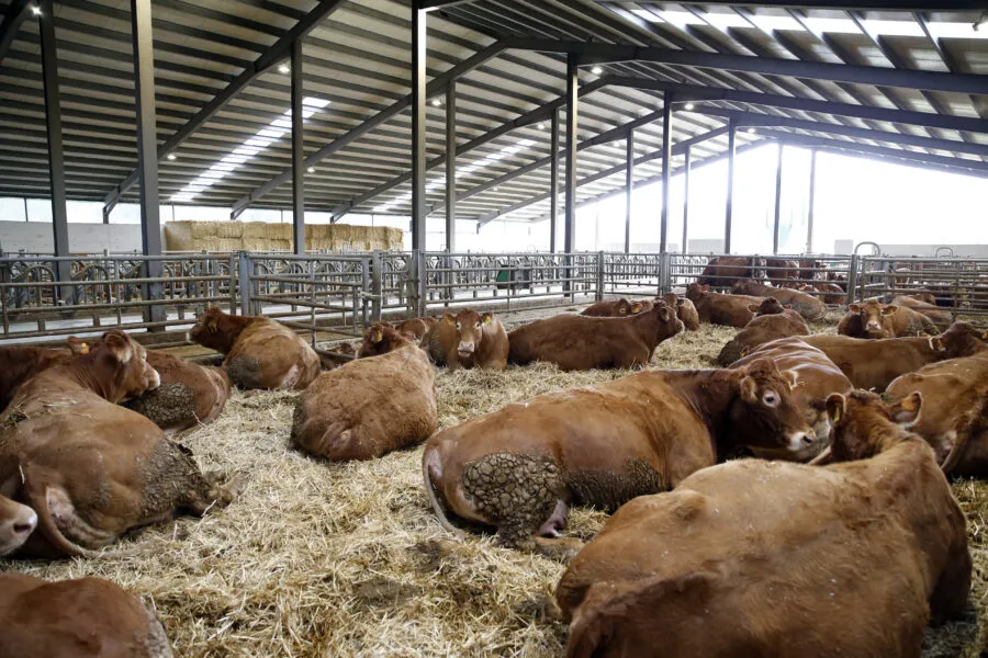 El incremento de la cuantía no implica la apertura de un nuevo plazo para presentar solicitudes (Foto: Oficina de Comunicación)