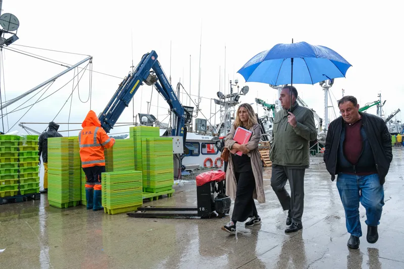El consejero ha seguido las labores de descarga y comercialización de las capturas, en una jornada de intensa actividad en la que decenas de barcos han operado en el puerto. (Foto: Raúl Lucio)