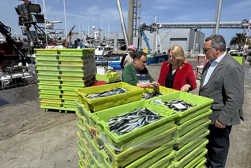 De izquierda a derecha: Miguel Fernández, María Jesús Susinos y Paulino San Emeterio. (Foto: Gobierno de Cantabria).