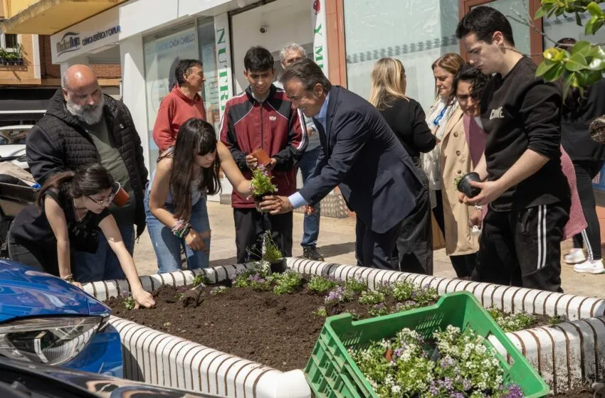 Noticias de Cantabria | El Cántabro | Camargo embellece sus espacios urbanos con 2.200 plantas cultivadas por el alumnado del Centro de Educación Especial Parayas