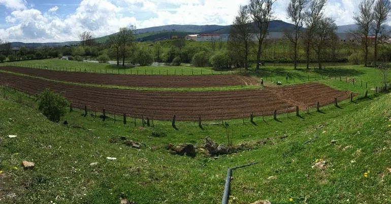 Noticias de Cantabria | El Cántabro | Reinosa entrega los primeros huertos urbanos municipales para fomentar el autoconsumo y la convivencia vecinal