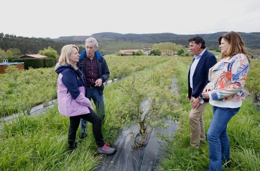 María Jesús Susinos ha conocido de primera mano el modelo productivo y la evolución de Campoberry, firma especializada en el cultivo ecológico de arándanos (Foto: Lara Revilla)