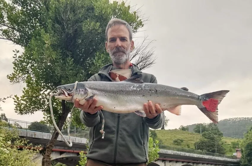 El pescador asturiano Alfonso Cano con el 'campanu' de Cantabria en sus manos (Foto: Gobierno de Cantabria)