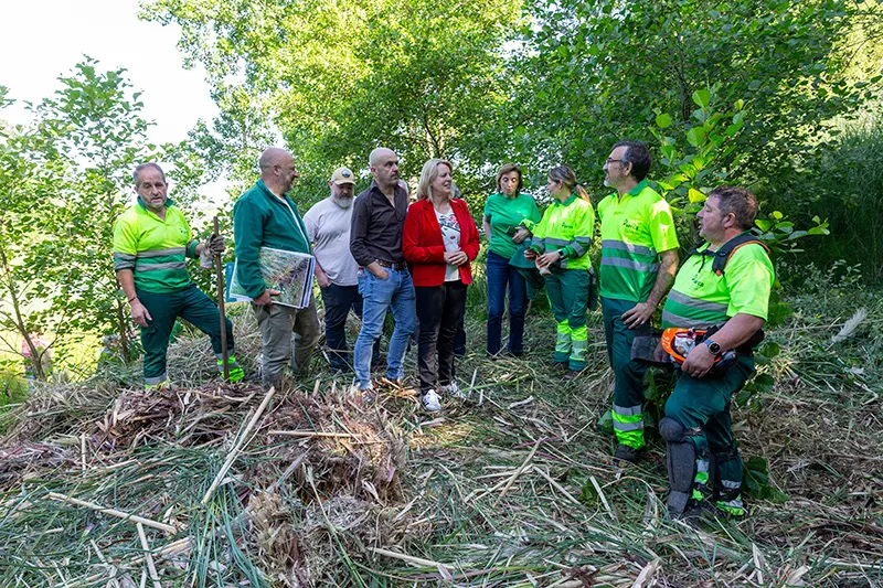 Noticias de Cantabria | El Cántabro | El Gobierno impulsa la restauración de espacios Natura 2000 con el proyecto Life Coop Cortaderia en el río Pas