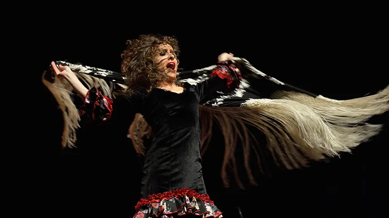 Imagen del espectáculo 'Flamencas' que particiap en la edición de este año del circuito 'Cultura y terriorio'. Foto: Gobierno de Cantabria