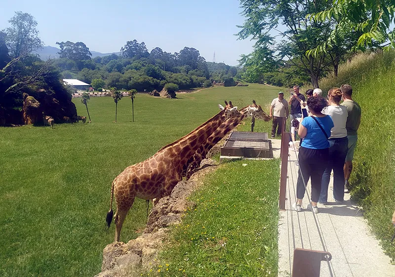 Turoperadores y agentes de viajes argentinos visitan Cantabria para conocer su oferta de turismo de naturaleza, (Foto: Gobierno de Cantabria)
