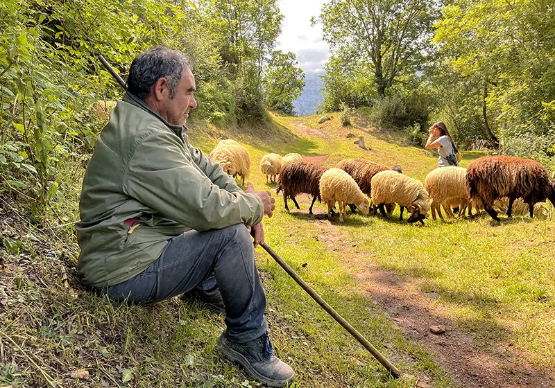 Cultura convoca un nuevo encuentro técnico para analizar el papel clave de las comunidades rurales en la conservación del territorio dentro del proyecto europeo STEPS for LIFE . Foto: Gobierno de Cantabria