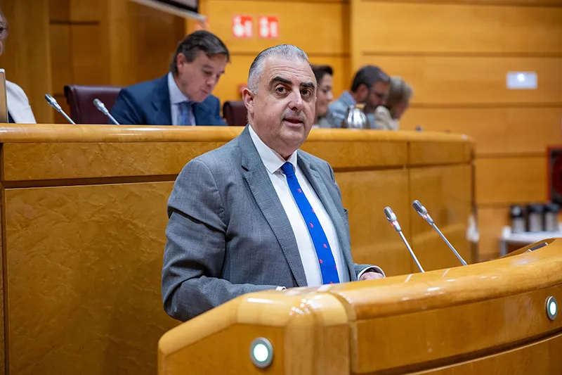 El consejero de Fomento, Roberto Media, durante su comparecencia en el Senado (FOTO: Oficina de Comunicación)