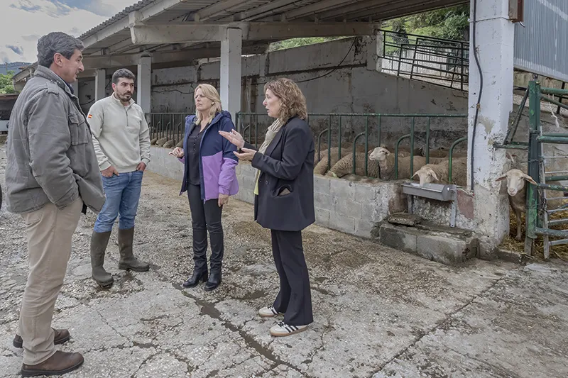 La consejera visita la ganadería ovina Agropecuaria San Lázaro (Foto: Enma Portillo)