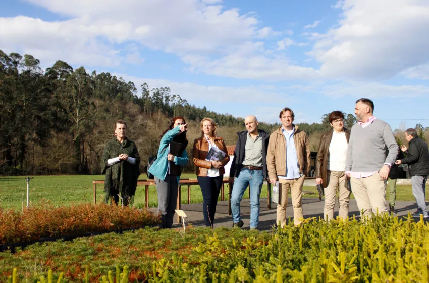 Imagen de la consejera en su visita al vivero de Villapresente. (Foto: Amai Díaz).