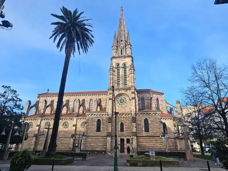 Noticias de Cantabria | El Cántabro | Torrelavega licita el mantenimiento integral de 42 palmeras afectadas por el picudo rojo