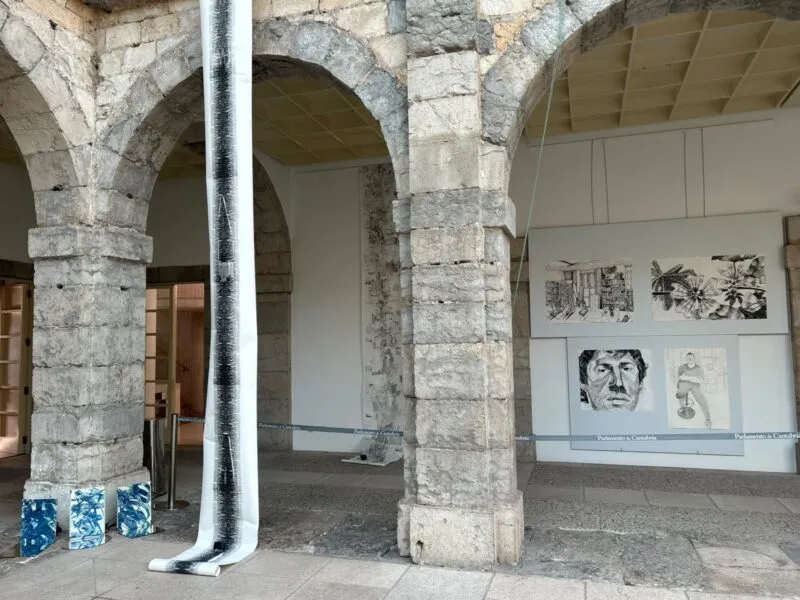 Noticias de Cantabria | El Cántabro | El Parlamento abre sus puertas al talento emergente con ‘Audaces 2’, una gran muestra de arte joven cántabro