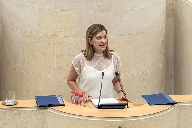 María José Sáenz de Buruaga interviene en el Debate sobre la Orientación Política del Gobierno, el último de la legislatura (FOTO: José Cavia)