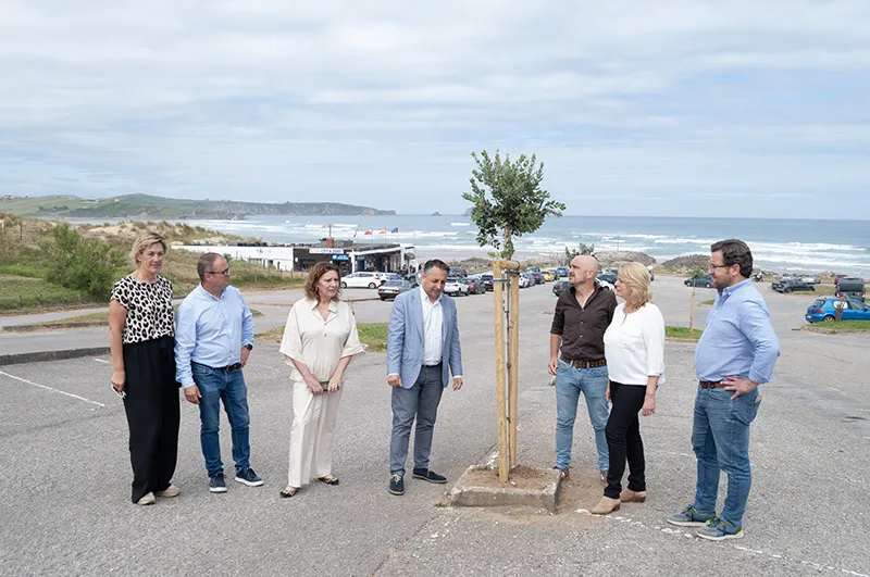 Imagen en una de las plantaciones del aparcamiento de Valdearenas. (Foto: Jimena Aguirre).