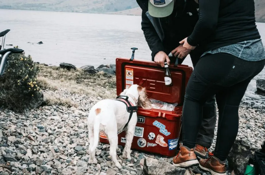  El caso Yeti o cómo facturar miles de millones vendiendo una nevera de camping por 400€