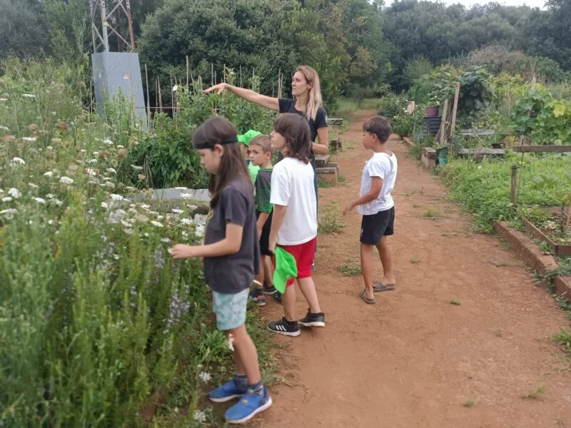 Noticias de Cantabria | El Cántabro | Los huertos municipales sostenibles de Revilla dan la bienvenida a una nueva edición de 'Pequecultores'