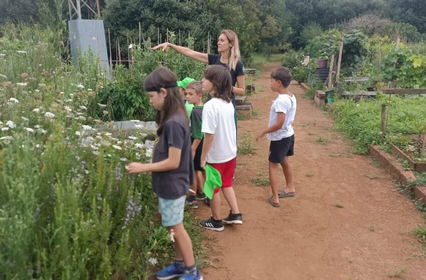 Noticias de Cantabria | El Cántabro | Los huertos municipales sostenibles de Revilla dan la bienvenida a una nueva edición de 'Pequecultores'