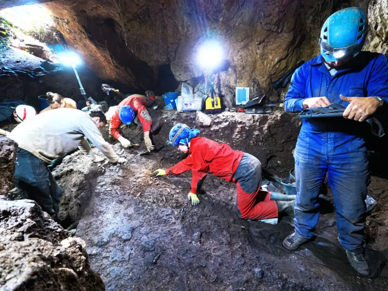 Noticias de Cantabria | El Cántabro | Nuevas excavaciones en la cueva de La Chora revelan con mayor precisión cómo vivían las poblaciones prehistóricas del Cantábrico