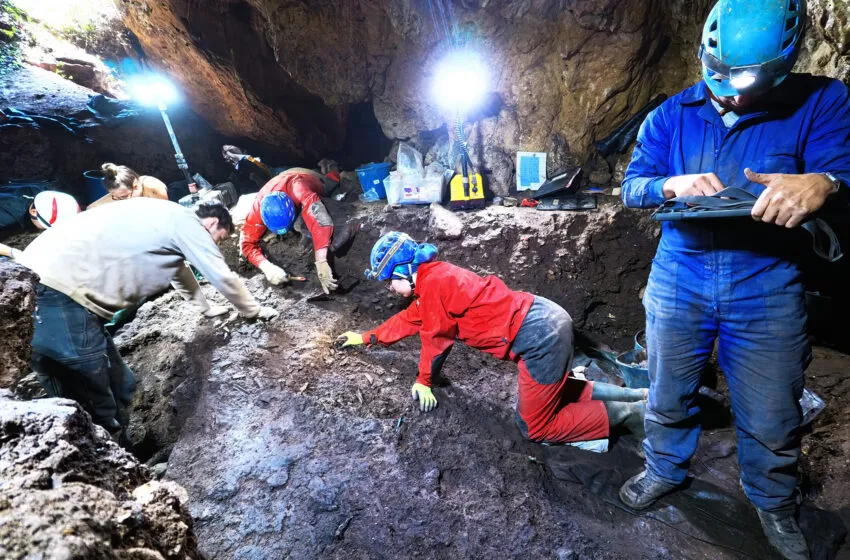 Noticias de Cantabria | El Cántabro | Nuevas excavaciones en la cueva de La Chora revelan con mayor precisión cómo vivían las poblaciones prehistóricas del Cantábrico