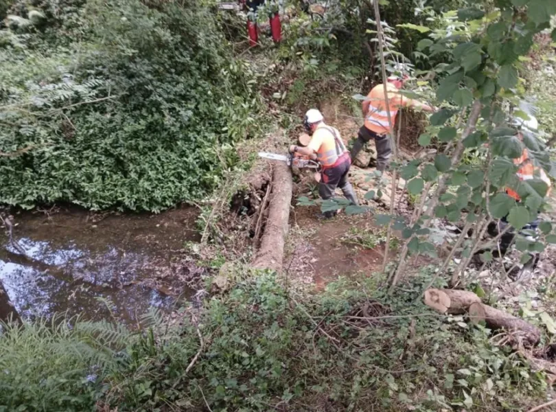Noticias de Cantabria | El Cántabro | La Confederación Hidrográfica del Cantábrico actúa en el río Campiazo para reducir el riesgo de desbordamientos en Hazas de Cesto