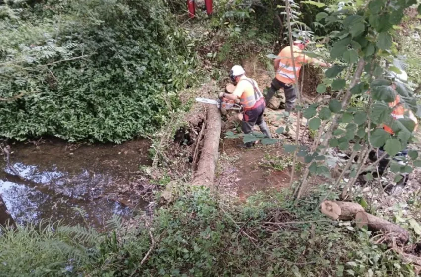 Noticias de Cantabria | El Cántabro | La Confederación Hidrográfica del Cantábrico actúa en el río Campiazo para reducir el riesgo de desbordamientos en Hazas de Cesto