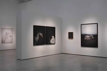 Noticias de Cantabria | El Cántabro | Hablamos con Estela de Castro sobre su exposición "Persona", la cual invita a mirar a los animales desde otra perspectiva