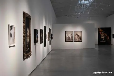 Noticias de Cantabria | El Cántabro | Hablamos con Estela de Castro sobre su exposición "Persona", la cual invita a mirar a los animales desde otra perspectiva