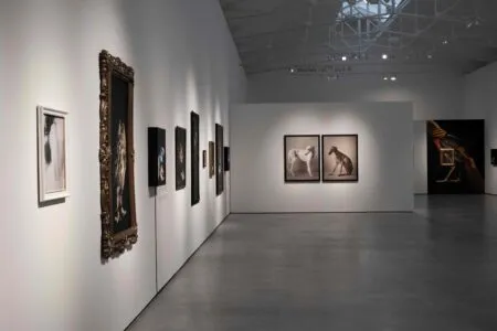 Noticias de Cantabria | El Cántabro | Hablamos con Estela de Castro sobre su exposición "Persona", la cual invita a mirar a los animales desde otra perspectiva