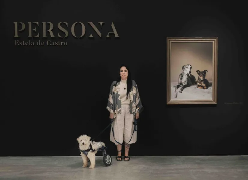 Noticias de Cantabria | El Cántabro | Hablamos con Estela de Castro sobre su exposición "Persona", la cual invita a mirar a los animales desde otra perspectiva