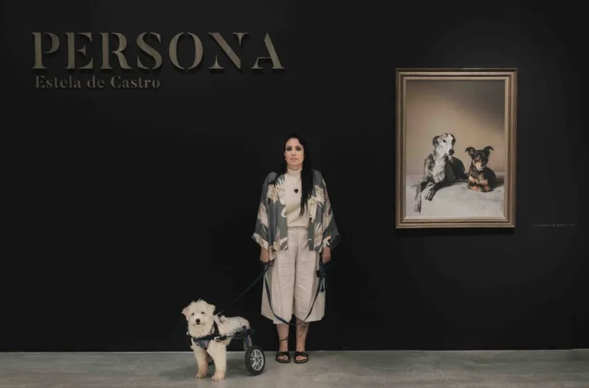  Hablamos con Estela de Castro sobre su exposición «Persona», la cual invita a mirar a los animales desde otra perspectiva