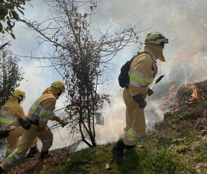 Foto de archivo. Bomberos forestales de Cantabria durante las labores de extinción de un incendio. (Foto: Gobierno de Cantabria)