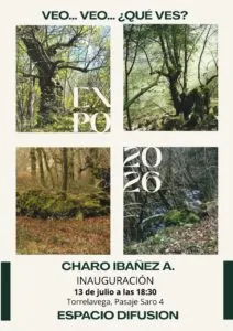 Noticias de Cantabria | El Cántabro | ¿Qué esconden los árboles y las rocas? Charo Ibáñez invita a descubrirlo en su nueva exposición en Torrelavega