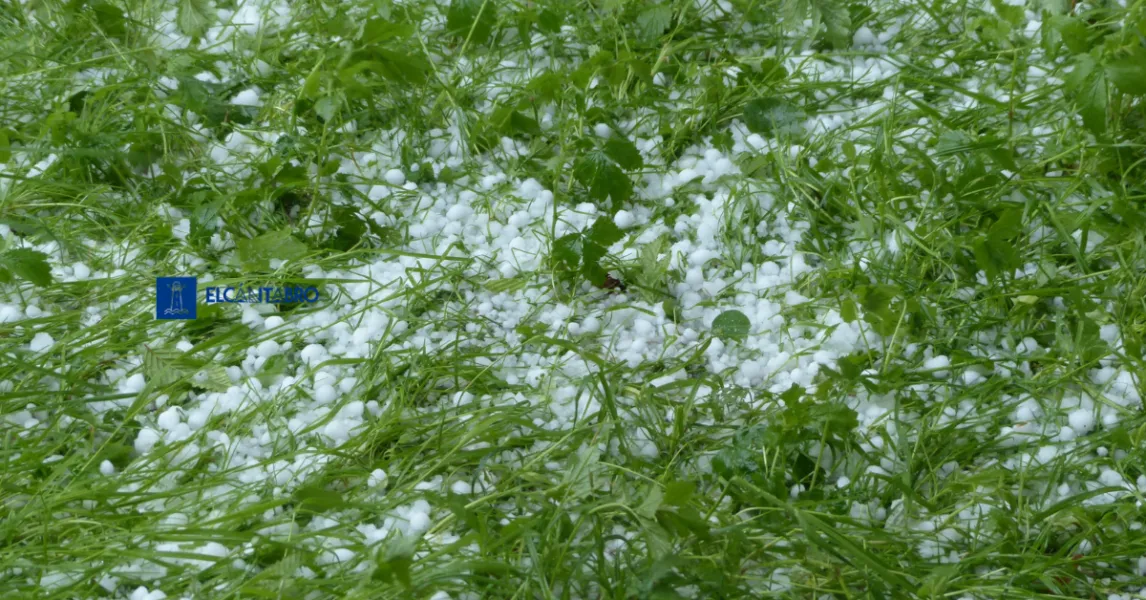Noticias de Cantabria | El Cántabro | El Gobierno de Cantabria activa la fase de preemergencia del METEOCANT