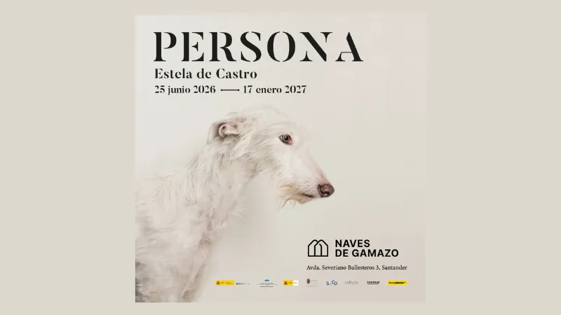 Noticias de Cantabria | El Cántabro | Más de 80 animales rescatados protagonizan la nueva exposición de Estela de Castro en las Naves de Gamazo