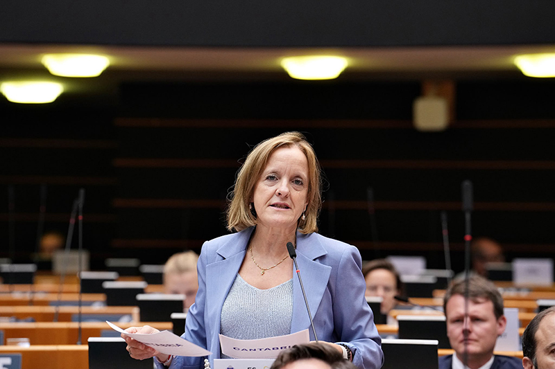 La consejera de Presidencia, Isabel Urrutia, durante la sesión del pleno del Comité Europeo de las Regiones