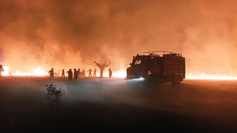 Bomberos forestales del Gobierno de Cantabria en el incendio de Fermoselle, en Zamora (Foto: Oficina de Comunicación)