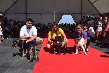  Protectoras cántabras abren sus puertas en Liencres para visibilizar su trabajo y buscar nuevas familias para algunos de los animales que tienen acogidos
