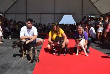 8 protectoras cántabras abren sus puertas en Liencres para visibilizar su trabajo diario en favor de perros y gatos y buscar nuevas familias para algunos de los animales que tienen acogidos