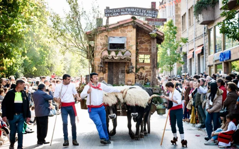 Noticias de Cantabria | El Cántabro | Sin bueyes sí habrá carretas el Día de Campoo