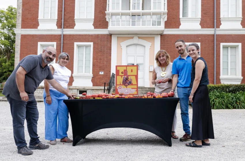 Noticias de Cantabria | El Cántabro | La Feria Nacional del Tomate Antiguo de Polanco estrena subasta solidaria y el certamen “Rural Chef”